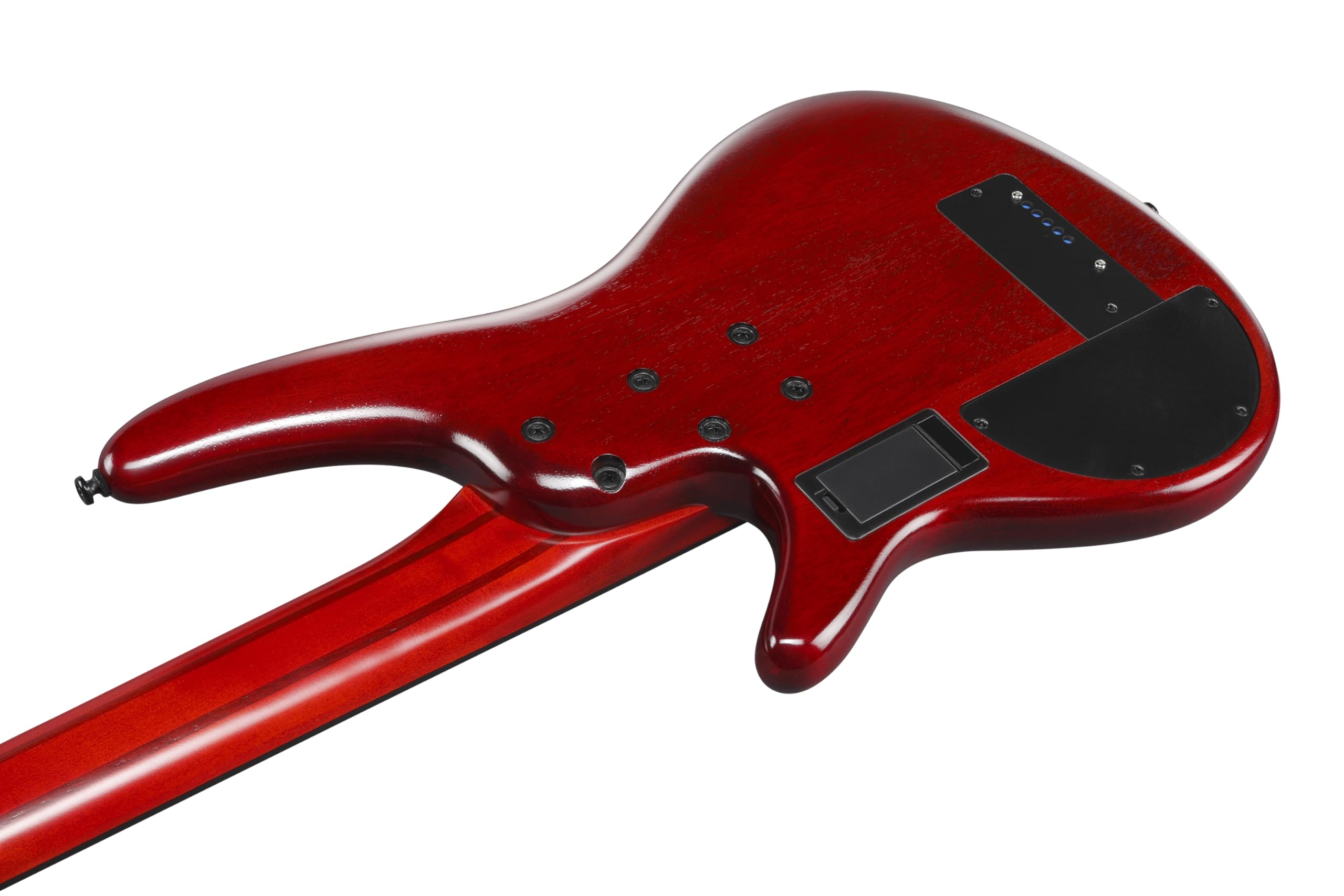 Amazon.com: Ibanez SR Bass Workshop Fretless 5-string Electric
